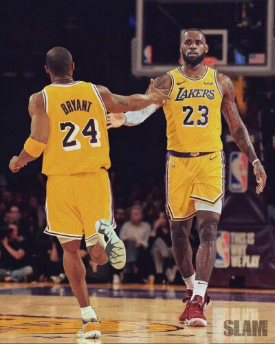 论员